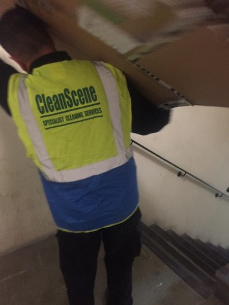 Clean Scene Services Cleaning Services
